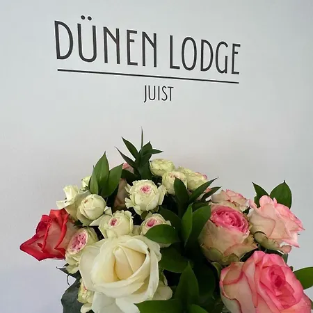 Apartmán Duenen 2